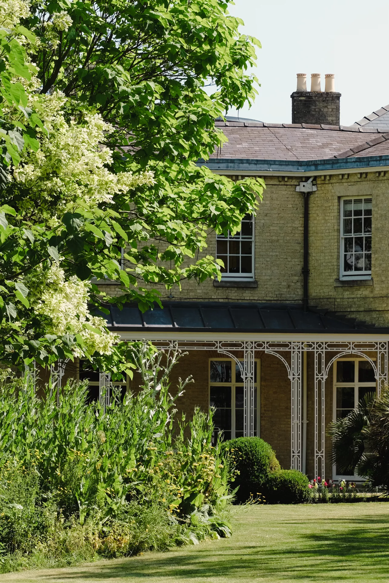 The Grove and lawn in summer