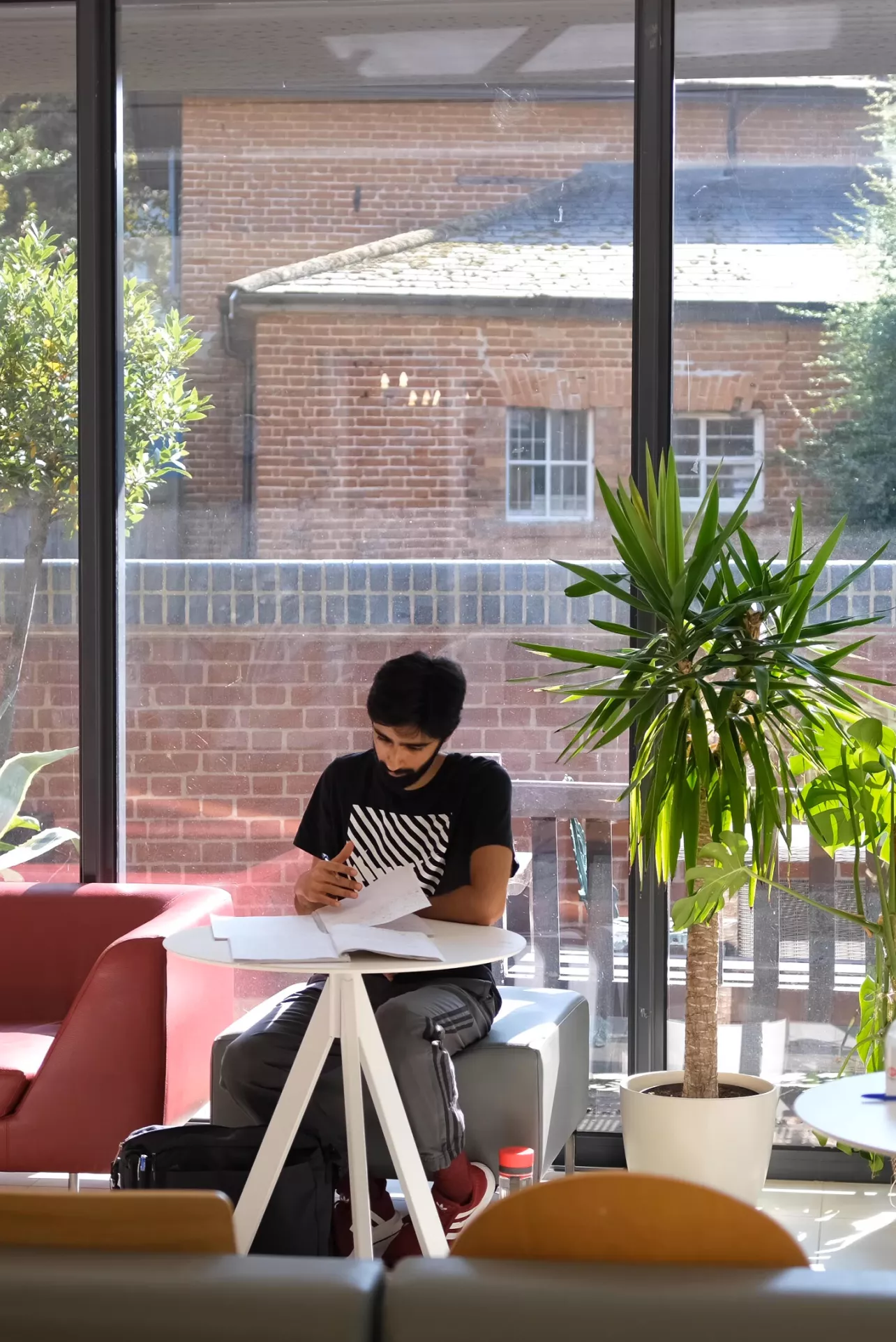 Student working in the garden room of the MCR
