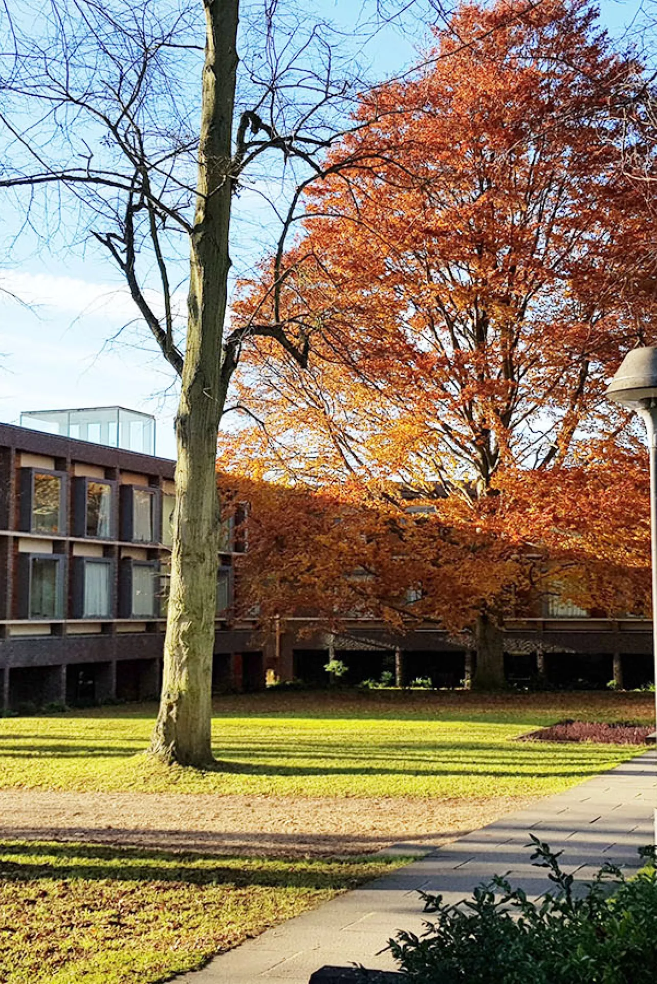 A photo of Gate House, an accommodation building at Fitzwilliam College. The photo is taken in Autumn and the trees around the accomodation are either bare or covered with red/orange leaves
